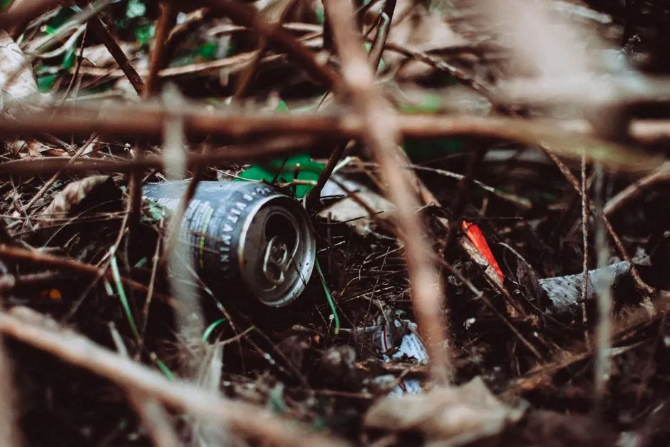Decomposition Cleanup in Katy, Texas
